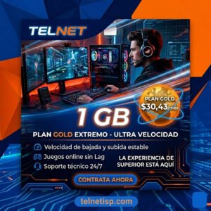 Conexion a internet | Plan GOLD